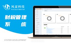 财务软件开发|oa软件系统定制|企业税务|总账凭证