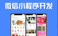 电商汽车外卖教育美容汽车新闻星座生活团购全平台小程序开发定制